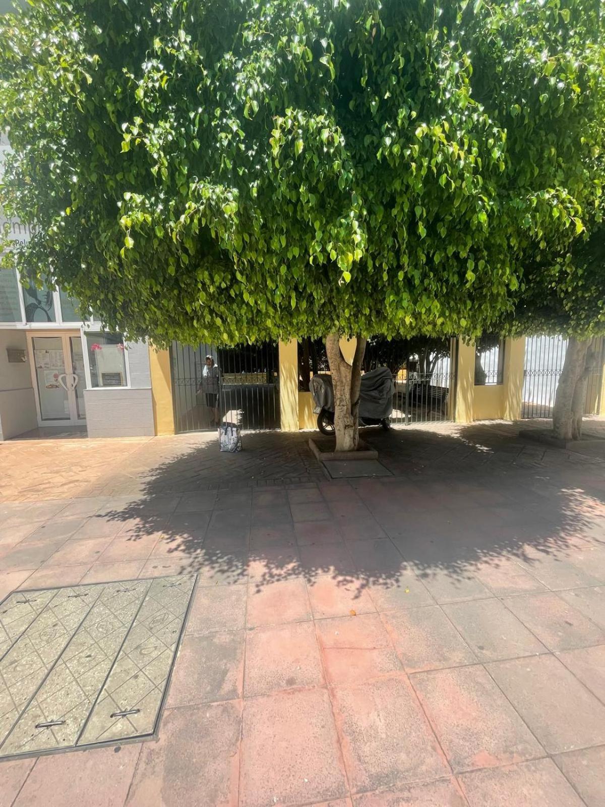 Apartamento Jardines Del Rocio Torre Del Mar Exterior photo